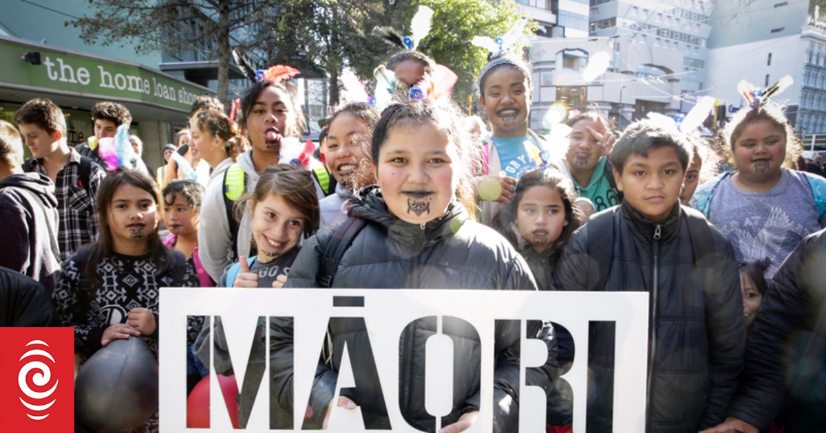 Iwi funding model leading te reo Maori revitalisation | RNZ