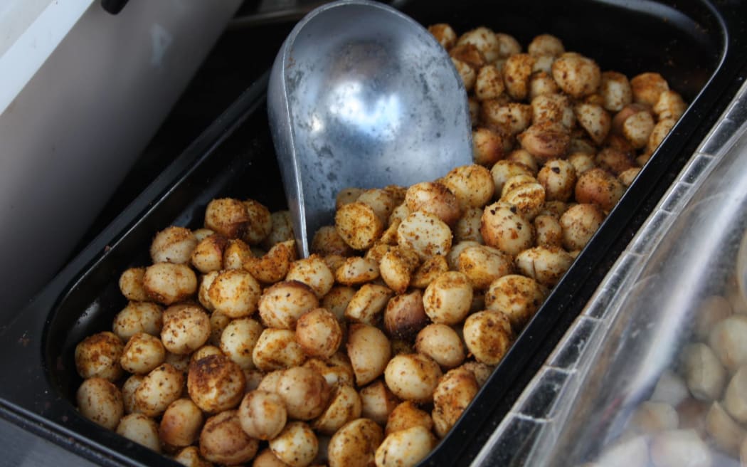 A preliminary analysis of Torere Macadamias nuts, grown in the Eastern Bay of Plenty, have shown they have promising concentrations of three key nutrients – vitamin C, vitamin B6 and selenium – more than macadamias compared in this project that were grown overseas.