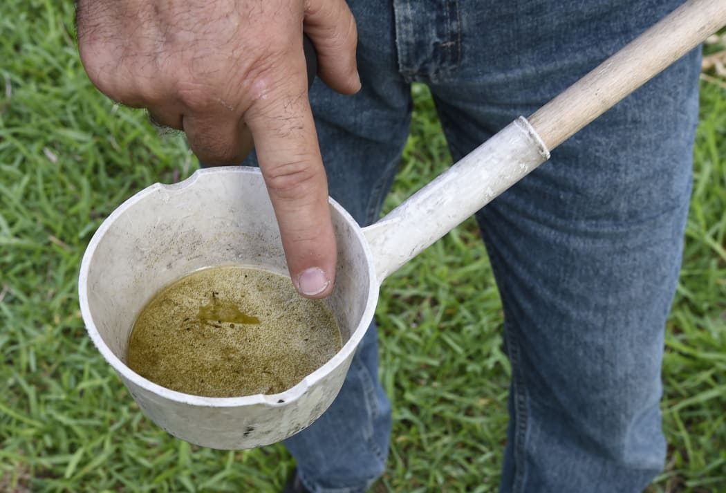 A mosquito control worker points to Aedes aegypti mosquito larvae, found at a home in Miami.