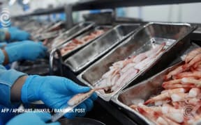 Migrants describe slave like conditions in Thai fishing industry