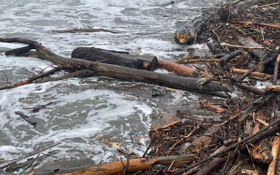 Forestry slash on the beach at Gisborne after Cyclone Gabrielle.