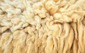 wool