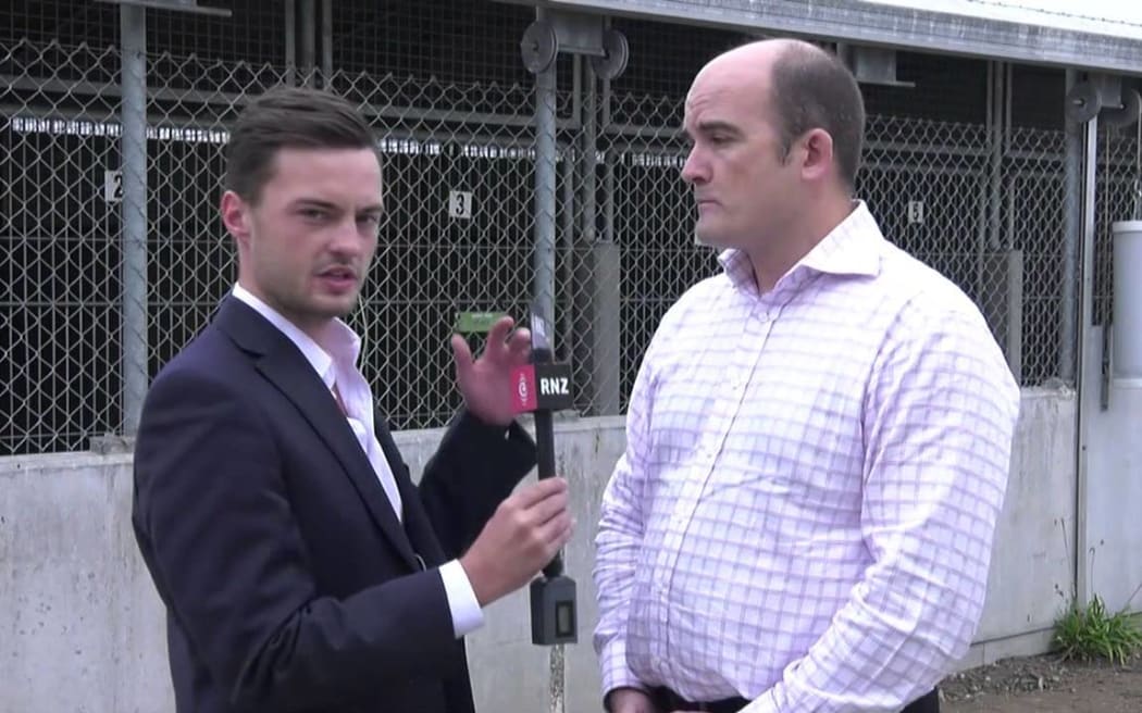 Overwhelming response for free dog registration: RNZ Checkpoint