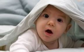 baby