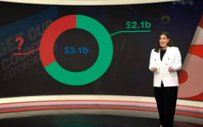 Jenna Lynch asks questions about potential holes in National's tax plan.