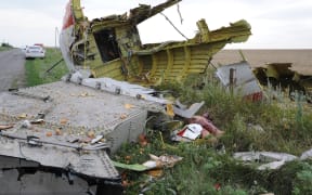 Wreckage of the Malaysian Airlines jet.