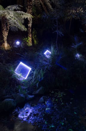 Some of the art that went missing from the Meridian Gardens Magic music and lights festival.