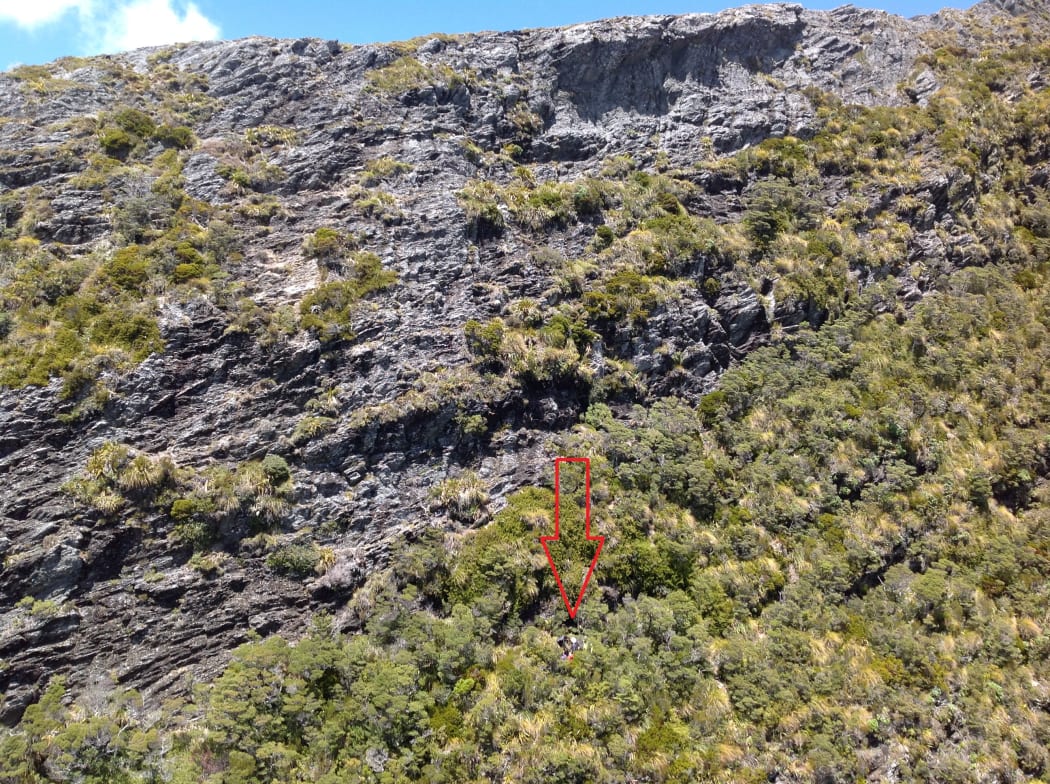 A Takaka woman has been rescued from a cliff face in the Kahurangi National Park after a 40m fall.