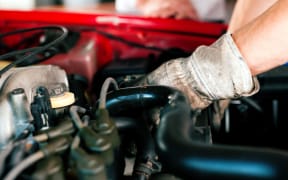 Wof, Warrent of Fitness generic