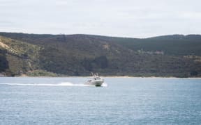 A boat going through the Hokianga Harbour