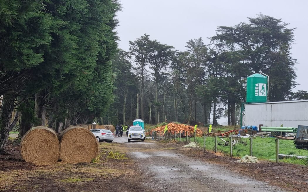 About 60 people are combing Canterbury's Greenpark area as they follow new leads in the search for real estate agent Yanfei Bao. Bao has been missing since 19 July last year, and despite extensive searches of Christchurch and surrounding areas over the past 12 months, the 44-year-old's body has never been found.