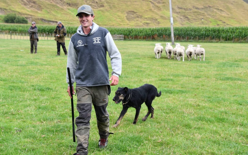 Peter Wilson, a young farmer from Taihape, sold his four dogs, Mufusa, Spud, Shaggy and Queen, at the Parapara Makiri Kiri Sheepdog Trial Club auction.