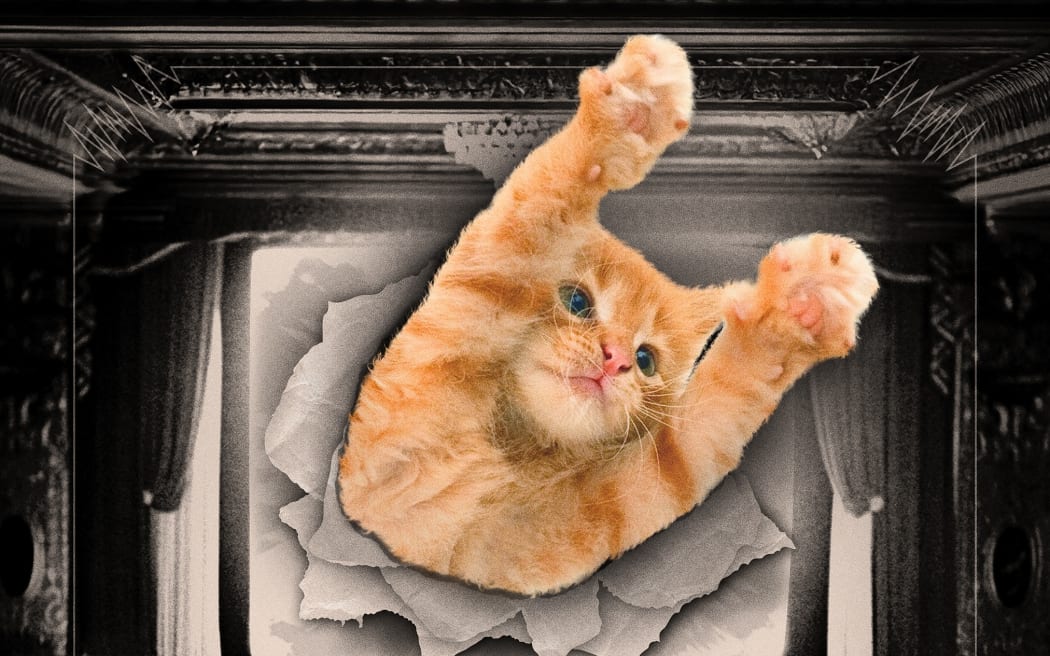 CatVideoFest