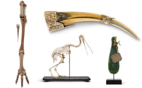 Various artefacts on sale at Sotheby's.