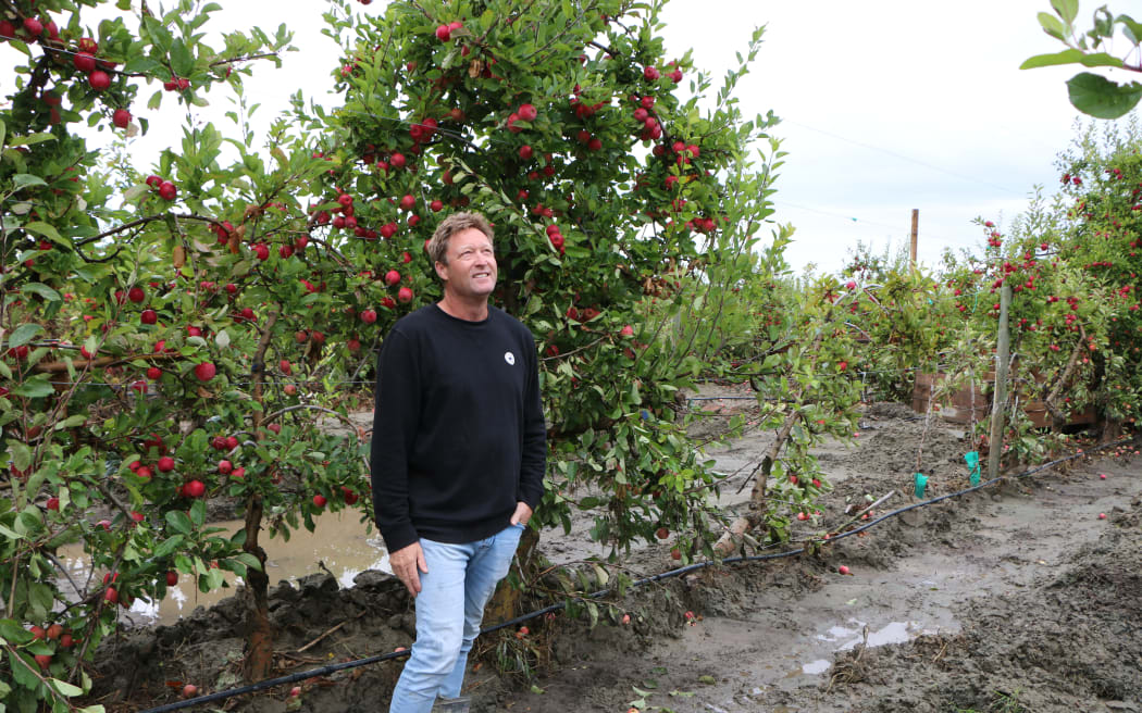Brydon Nisbet on his Puketapu apple orchard on 24 February 2023.