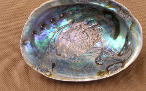 Pāua shell