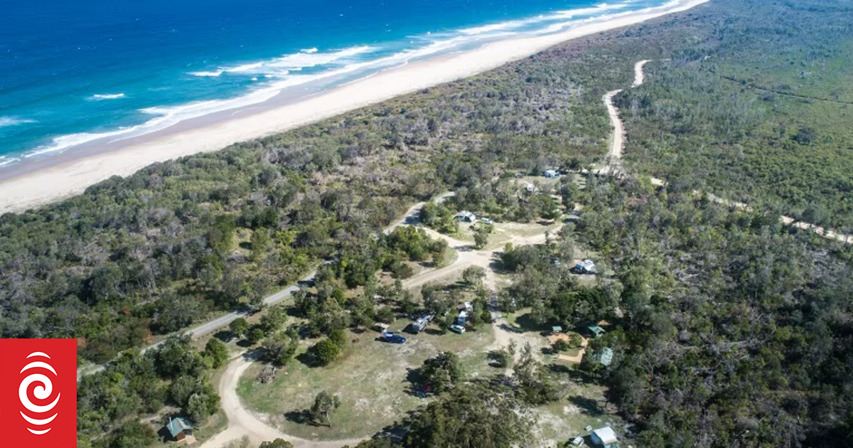 Woman killed, man injured in shark attack on NSW coast