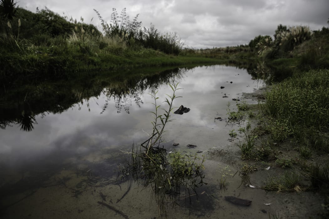 Pourewa Stream