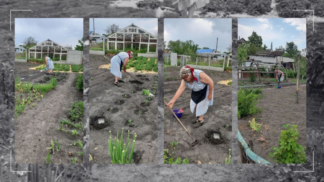 Kseniya and her grandmother Maryna, residents of the village of Tsirkunivska near Kharkiv, have shown incredible determination. Kseniya spends her days reconstructing houses damaged by the missiles using ReliefAid supplied materials, and Maryna tends to their garden and replants seedlings for their community.