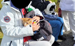 Department of Conservation staff found Aucklanders carrying pet cats up Mt Taranaki in backpacks.