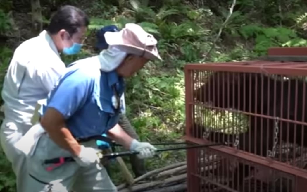 Katsuo Harada was badly attacked by a bear 24 years ago, now he is director of the Farming Support organisation in Hokkaido. He is shown in a still from a video by Japan's public media organisation NHK.