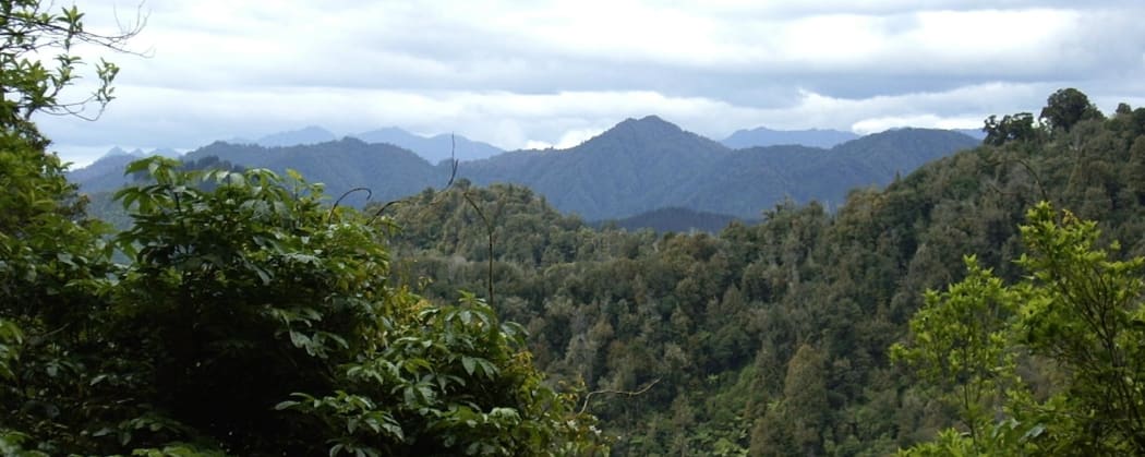 Te Urewera National Park