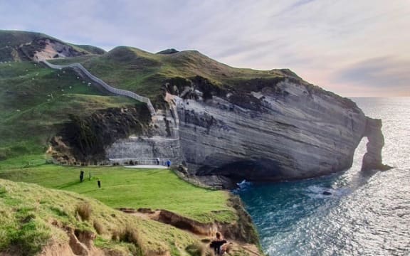 Farewell Spit predator free fence