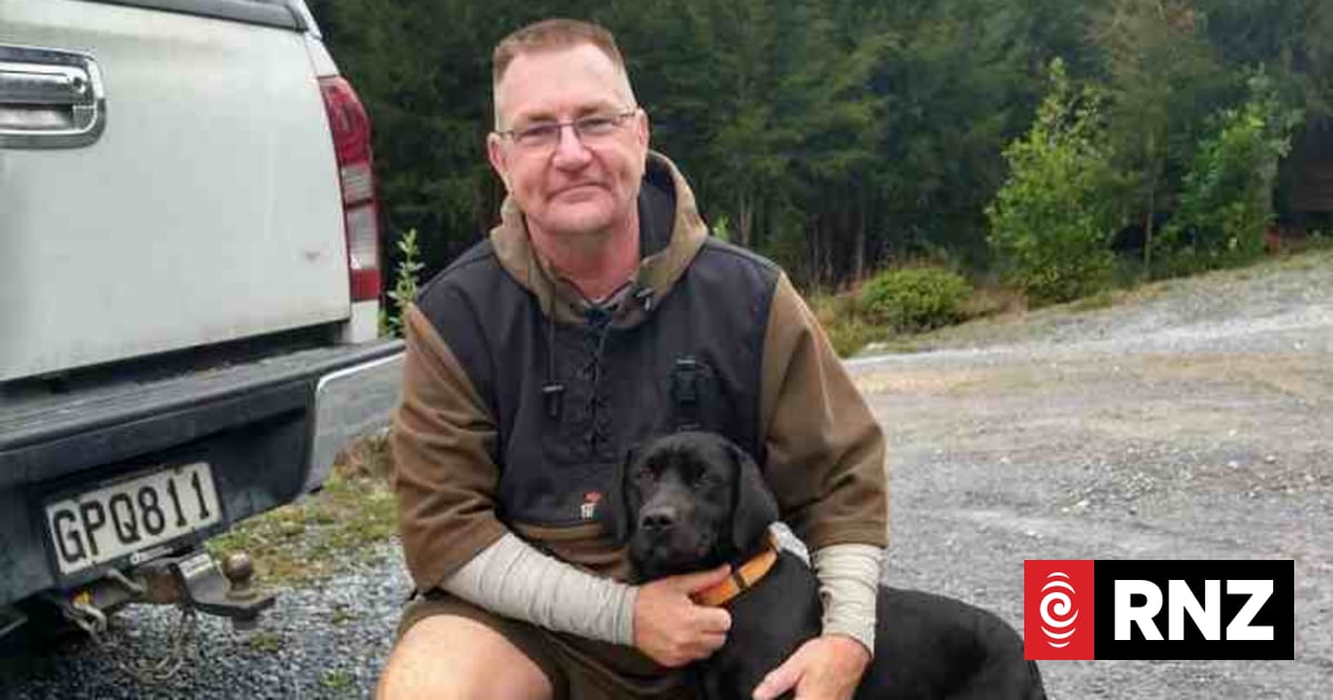 What to do if your dog goes missing | RNZ