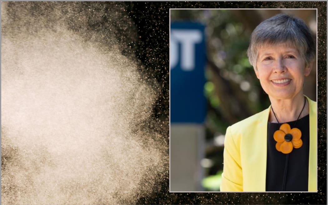 An image of air quality and inset of Lidia Morawska.