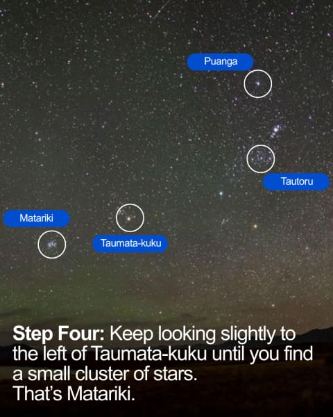 A visual guide for how to find the stars of Matariki.