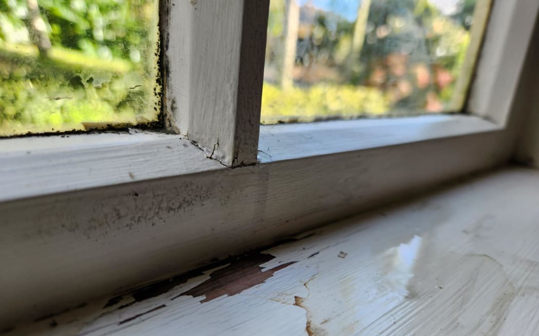 Mould around the windows of Sarah Yates' flat in Mt Eden.