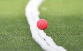 Cricket's controversial pink ball will feature in the upcoming Plunket Shield season here in New Zealand.