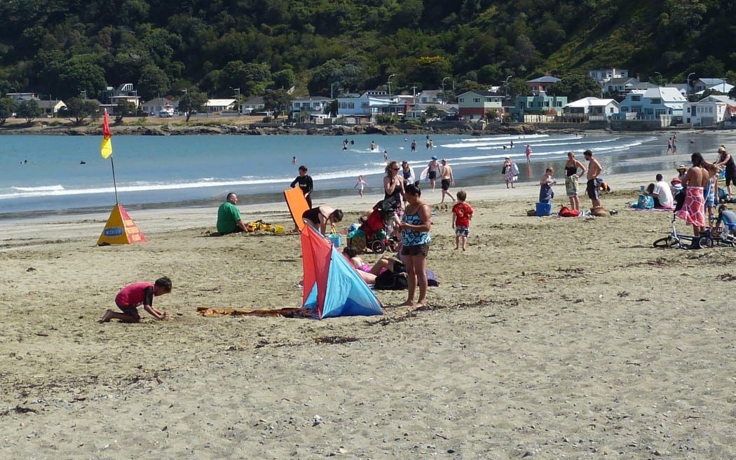 Wellington swimmers