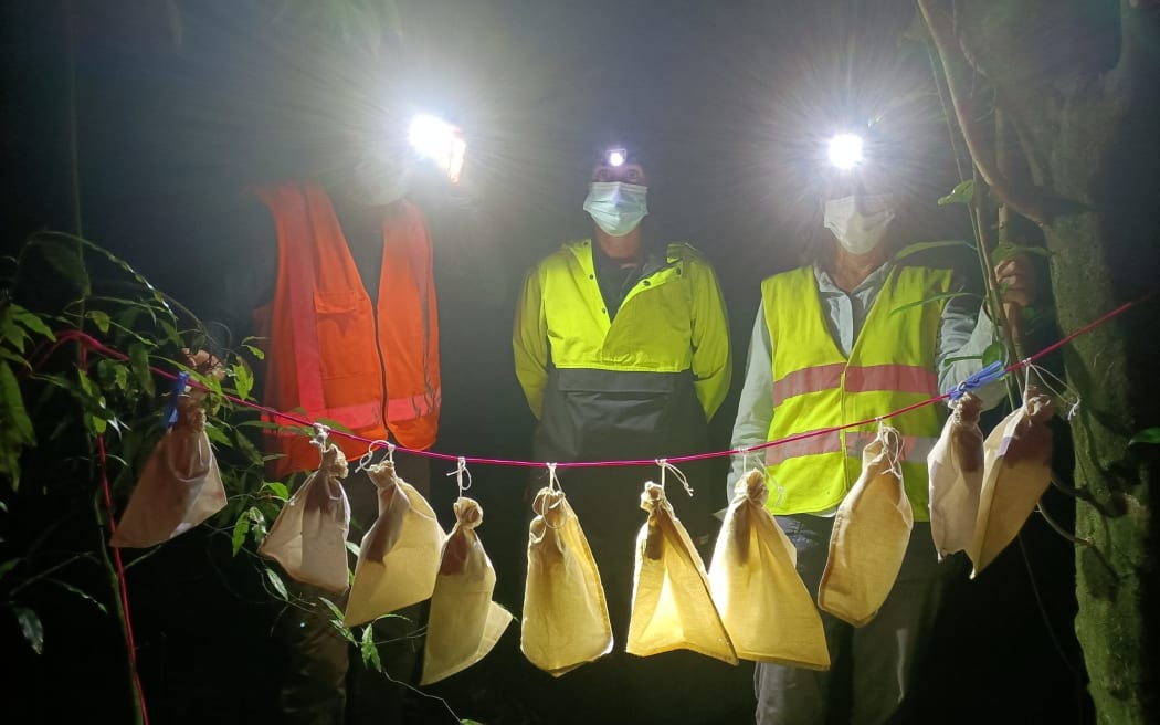 Grant Maslowski, left, Jen Waite and Nick Eade with a bat catch, bagged up and ready to process.