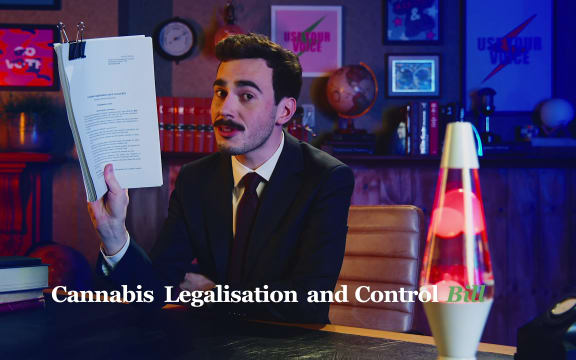 The Citizen's Handbook: Election Special - Cannabis
