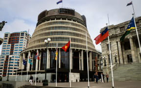 Flags of the Pacific on Parliament's forecourt