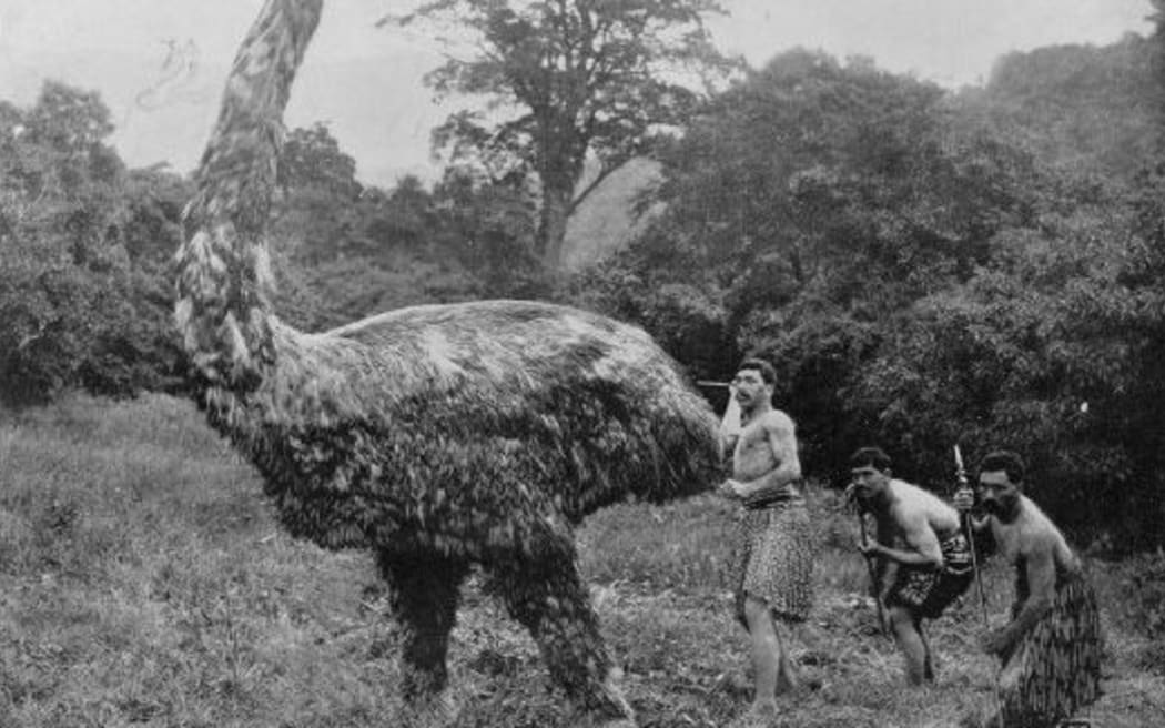 Mock moa hunt c 1900