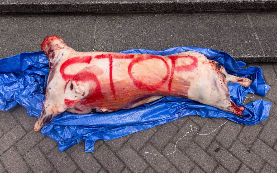Ram carcass at a meat inspection privatisation protest