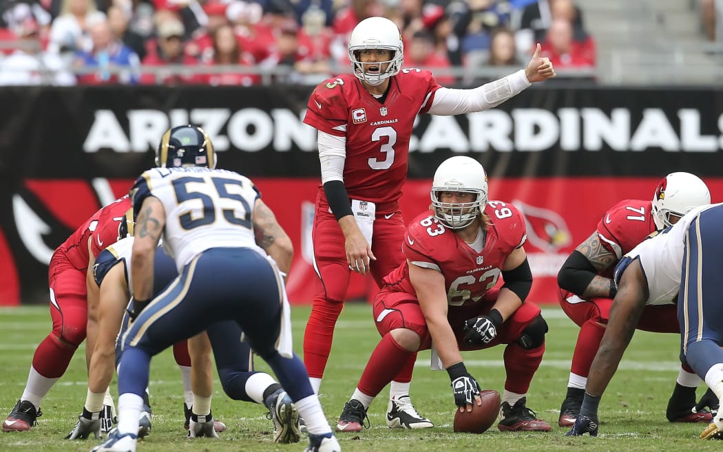 Arizona Cardinals NFL team in action