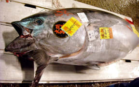 A 128kg blue-fin tuna is displayed at Tokyo's Tsukiji fish market .