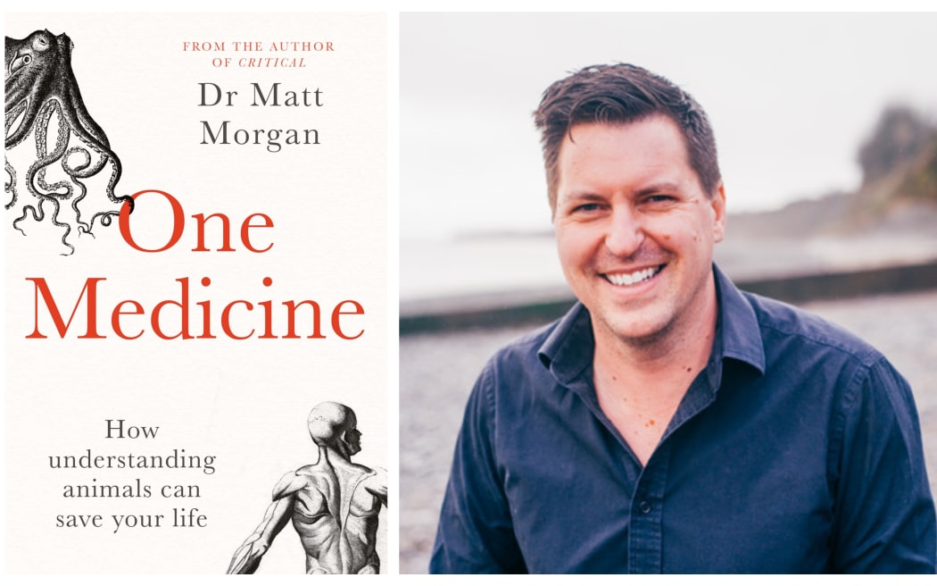 Dr Matt Morgan