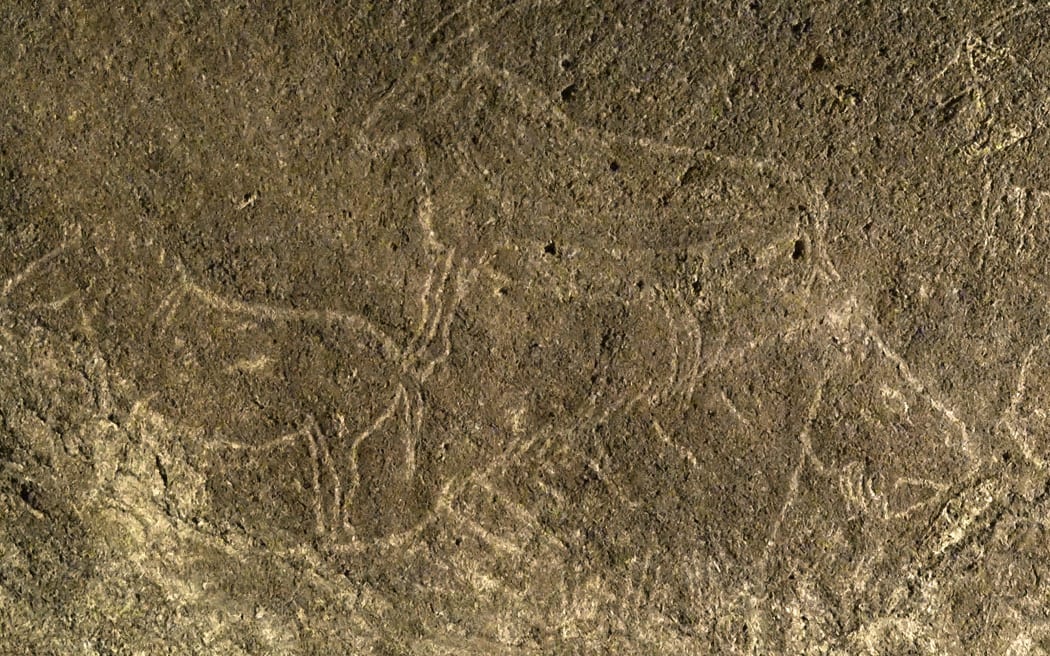 Cave engravings representing horses and goats, in the Armintxe cave in the Basque village of Lekeitio.