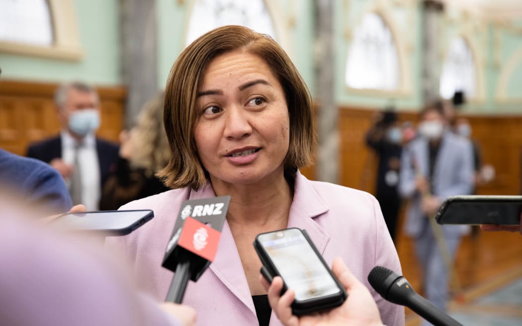 Green Party co-leader Marama Davidson