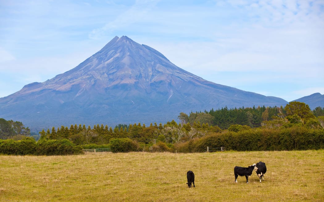 58 Taranaki farms in breach of their consents RNZ News