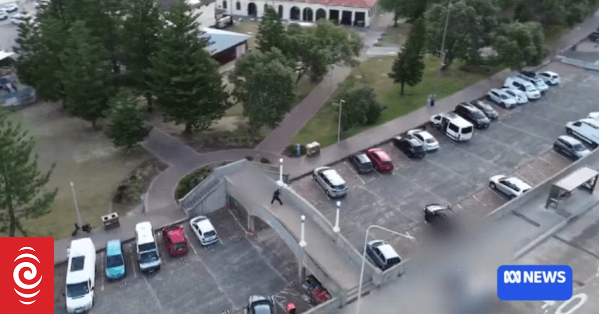 How the gunmen positioned themselves above Bondi Beach and opened fire