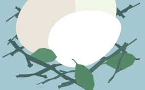 illustration of birds nest