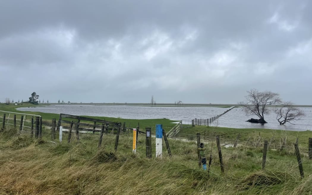 Surface flooding on Poverty Bay Flats