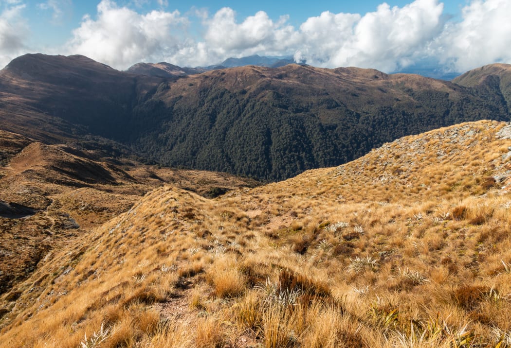 Paparoa National Park.