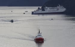The tug, Monowai, returning to port after a failed attempt to refloat the Interislander ferry on the morning of June 22.
