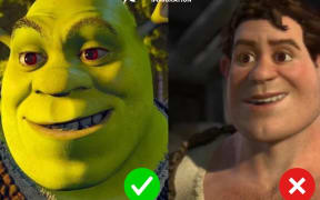 Immigration New Zealand is dealing with a growing problem with people applying for visas, with photographs that have been filtered and airbrushed.